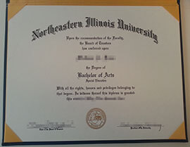 Where to Buy fake Northeastern Illinois University diploma?