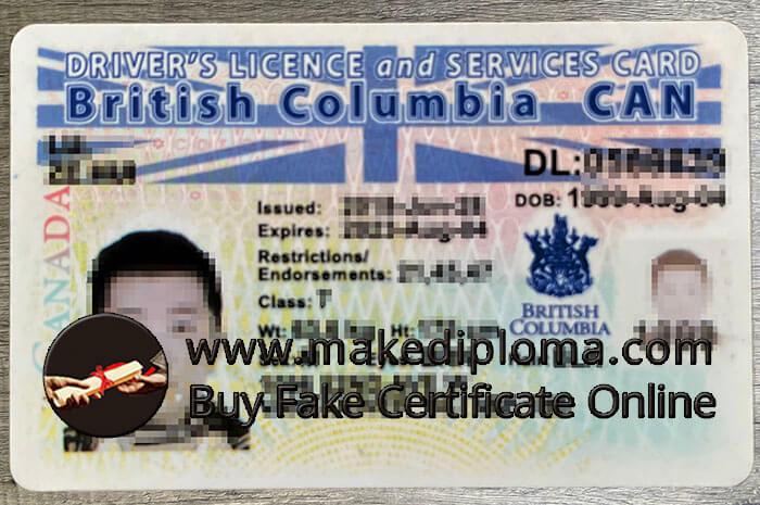 Buy British Columbia driver licence