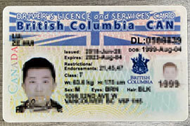 How to Buy British Columbia driver’s licence?