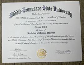 How to order Middle Tennessee State University diploma?