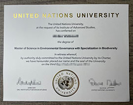 Buy a fake United Nations University diploma online.