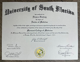 How to Buy a Fake University of South Florida Degree?