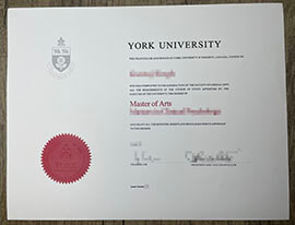 Where to Buy York University Fake Diploma?