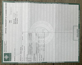 Are you Searching for USF transcripts? Buy fake diploma.