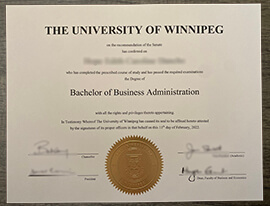 Buy University of Winnipeg fake diploma online?