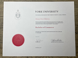 How to Order York University Fake Diploma and Transcript?
