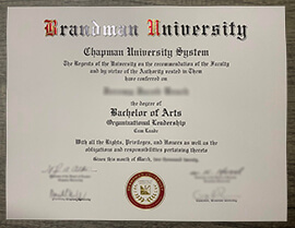 Buy Brandman University Fake Diploma Online.