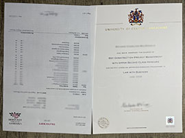 University of Central Lancashire Diploma and Transcript.