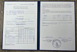 Erettsegi Bizonyitvany Certificate, Hungary Certificate.
