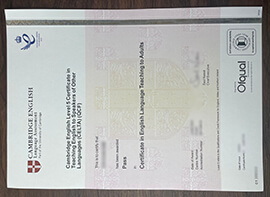 Cambridge English Level 5 certificate, CELTA certificate.