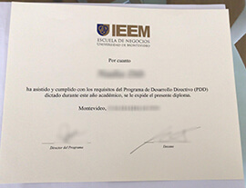 What happens if buy Universidad de Montevideo fake diploma?