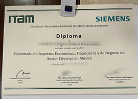 Buy Instituto Tecnológico Autónomo de México Diploma.