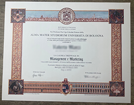 Where to Order University of Bologna Fake Diploma?