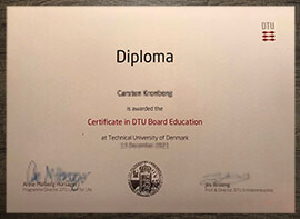 I want to get a Technical University of Denmark fake diploma