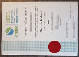 Is it easy to buy fake CIEEM certificates from UK online?