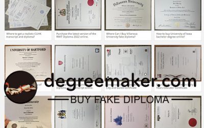 What does buying fake diplomas and degree certificates do?