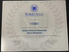 Sells the best quality Yorkville University degree online.