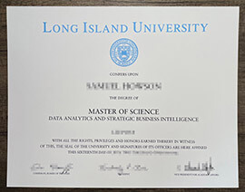 Order Latest Version Long Island University Degree Online.