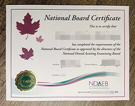Is it easy to buy fake NDAEB certificates online in Canada?
