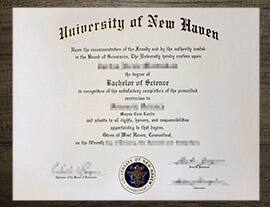 How safe is it to buy a fake University of New Haven degree?