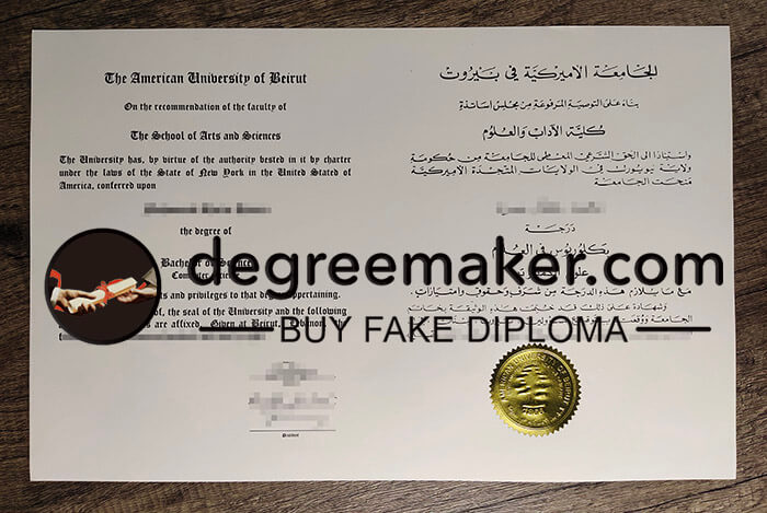 fake American University of Beirut degree