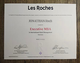 How to obtain fake Les Roches degree certificate in Switzerland?