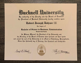 Will getting a Bucknell University degree online be useful for my job?