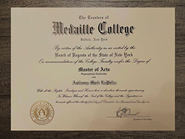 Will getting a Medaille College degree help me in my job?