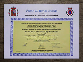 Where to obtain replicate Universidad Rey Juan Carlos degree