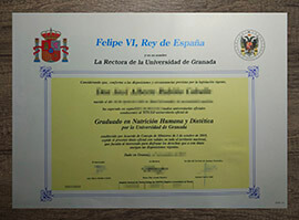 The easy way to earn a fake University of Granada diploma.
