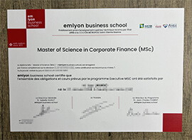 Copy the Emlyon Business School diploma your first choice.