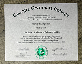 Why many people bought a fake Georgia Gwinnett College degree?