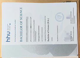 Supply Heinrich Heine University Düsseldorf diploma online.